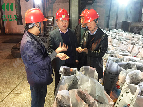 庆阳宁县向导到千亿国际活性炭总部旅行考察